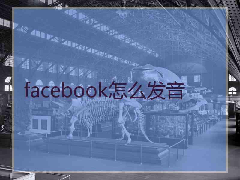 facebook怎么发音