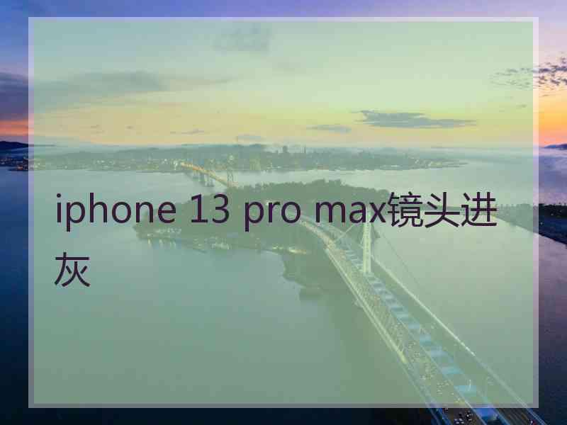 iphone 13 pro max镜头进灰