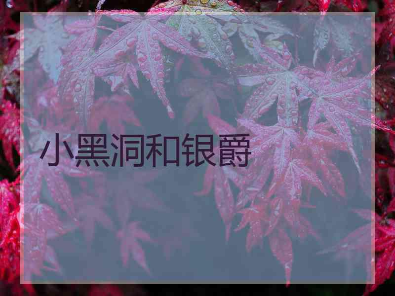 小黑洞和银爵