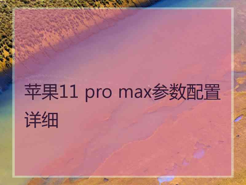 苹果11 pro max参数配置详细