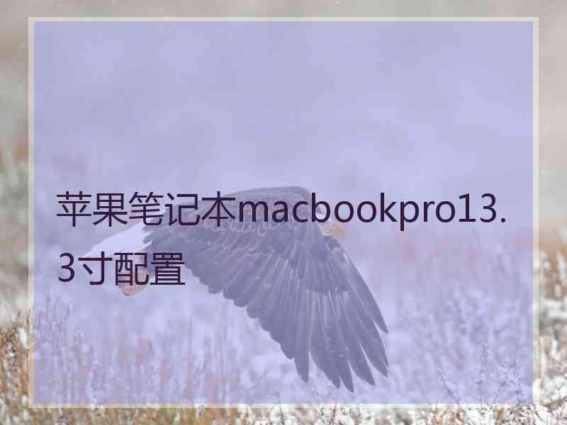 苹果笔记本macbookpro13.3寸配置