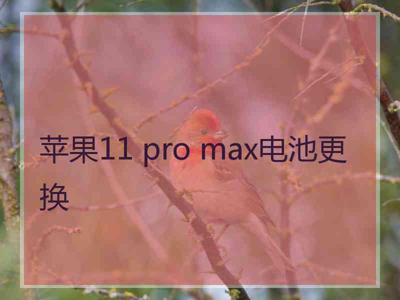 苹果11 pro max电池更换