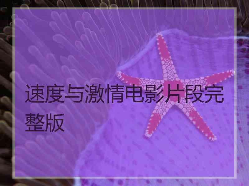 速度与激情电影片段完整版