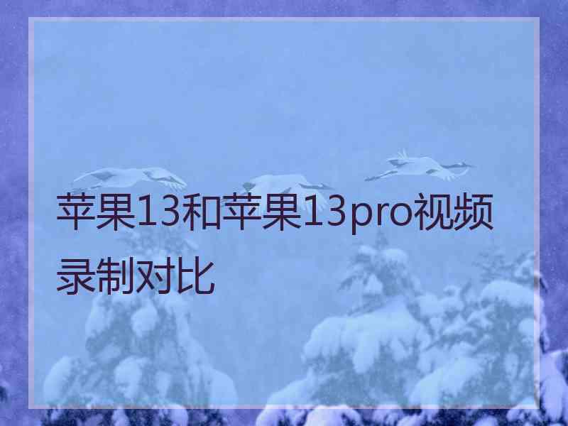 苹果13和苹果13pro视频录制对比