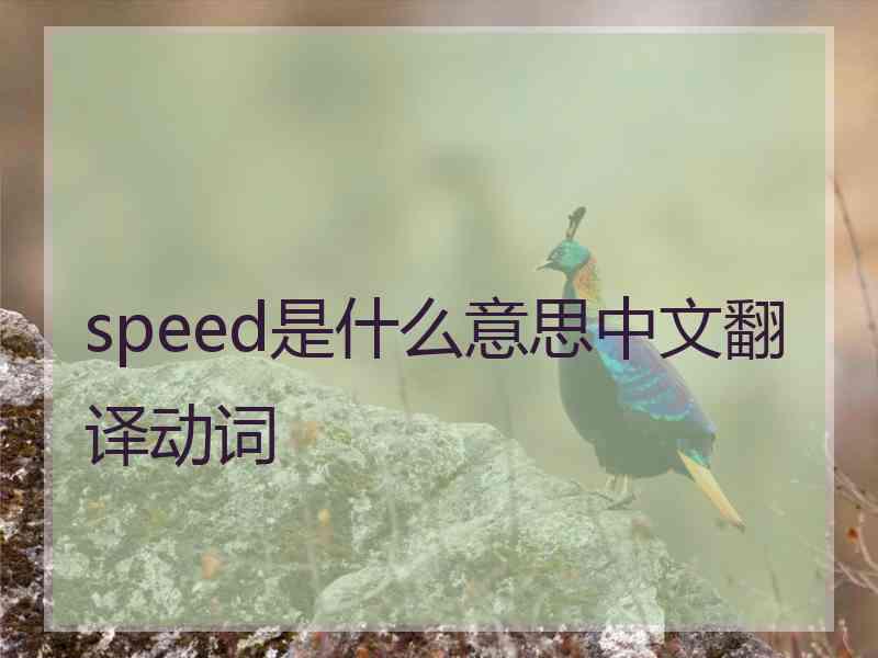 speed是什么意思中文翻译动词