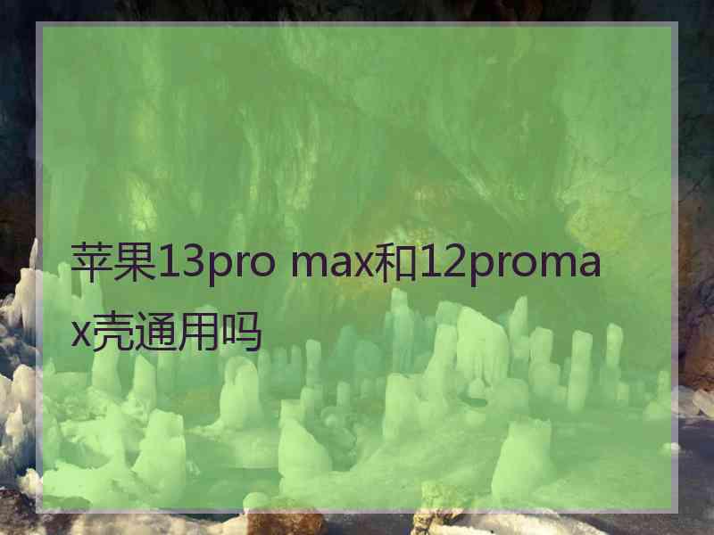 苹果13pro max和12promax壳通用吗