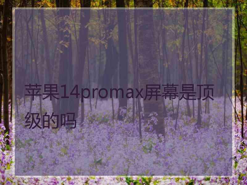 苹果14promax屏幕是顶级的吗