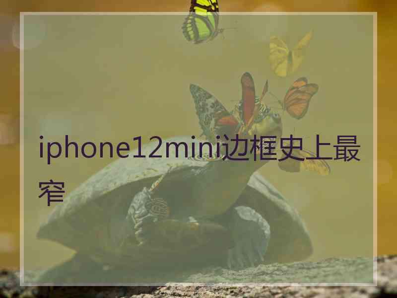 iphone12mini边框史上最窄