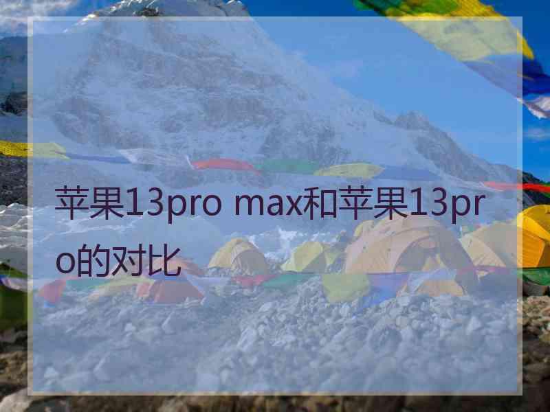 苹果13pro max和苹果13pro的对比