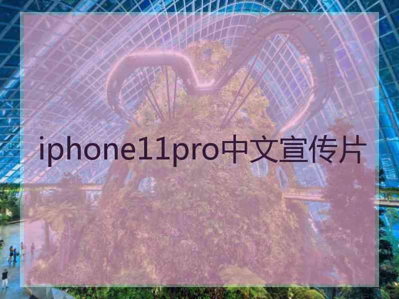 iphone11pro中文宣传片