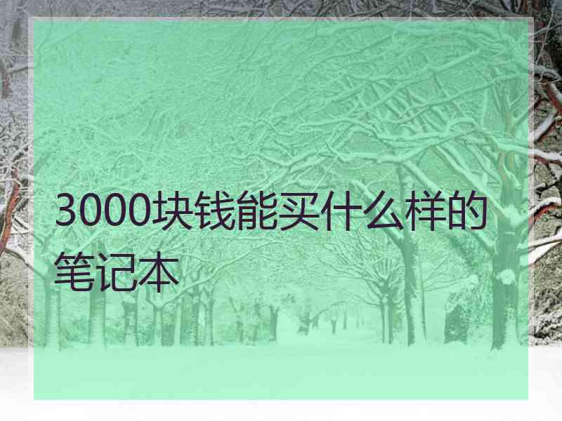 3000块钱能买什么样的笔记本