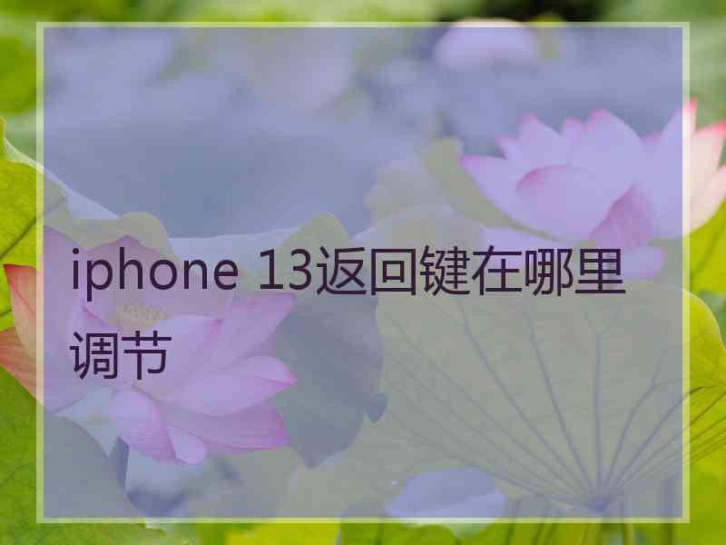 iphone 13返回键在哪里调节