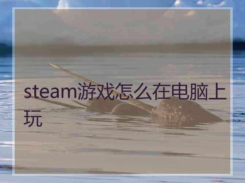 steam游戏怎么在电脑上玩