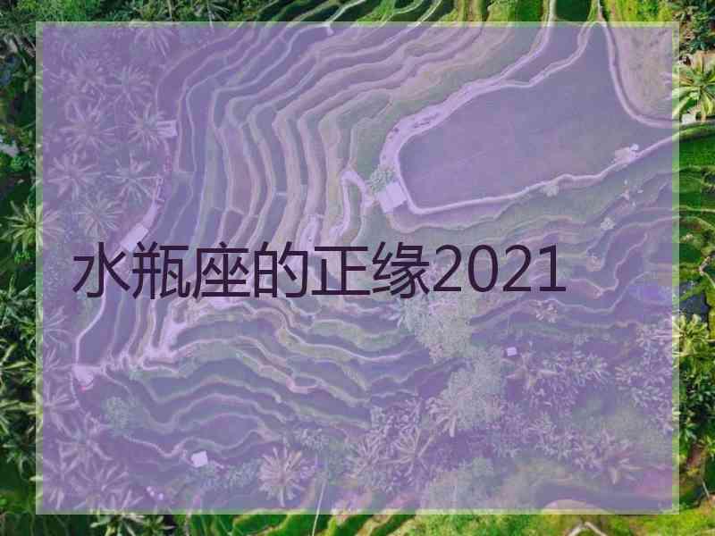 水瓶座的正缘2021