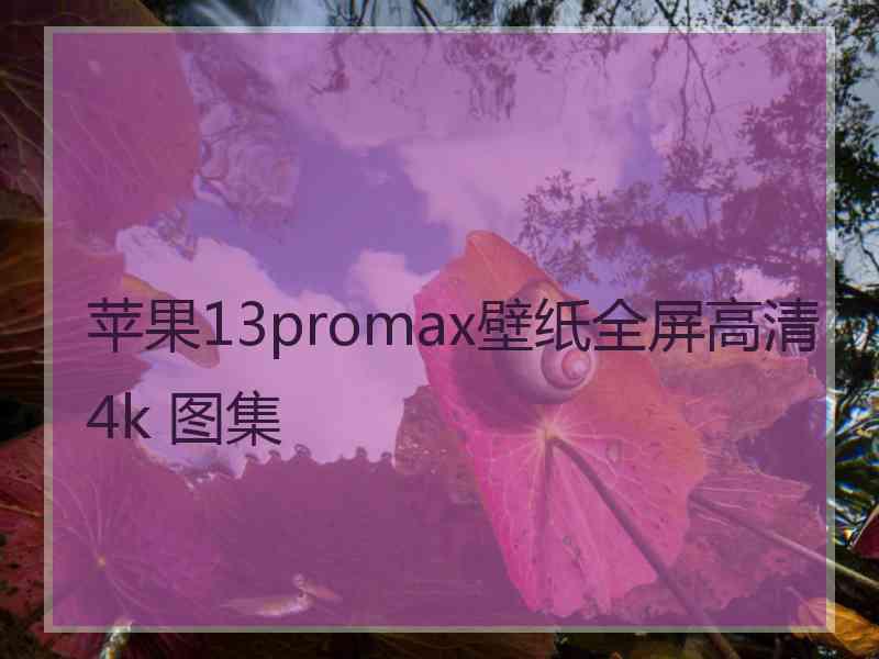 苹果13promax壁纸全屏高清4k 图集