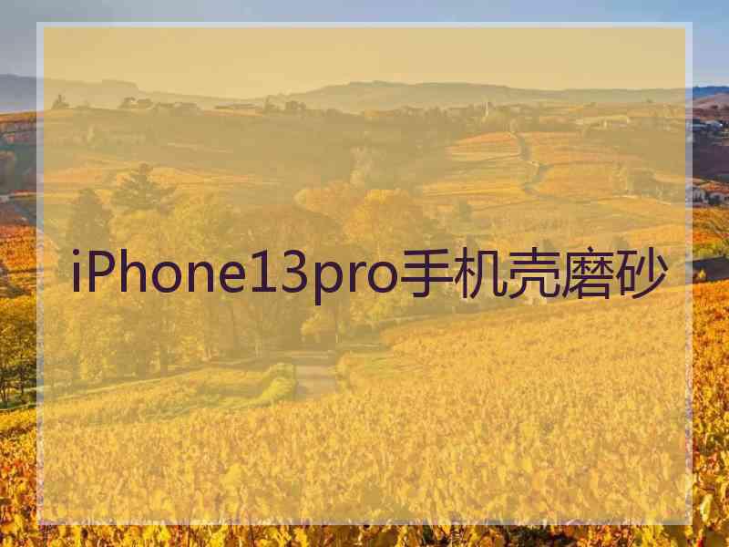 iPhone13pro手机壳磨砂