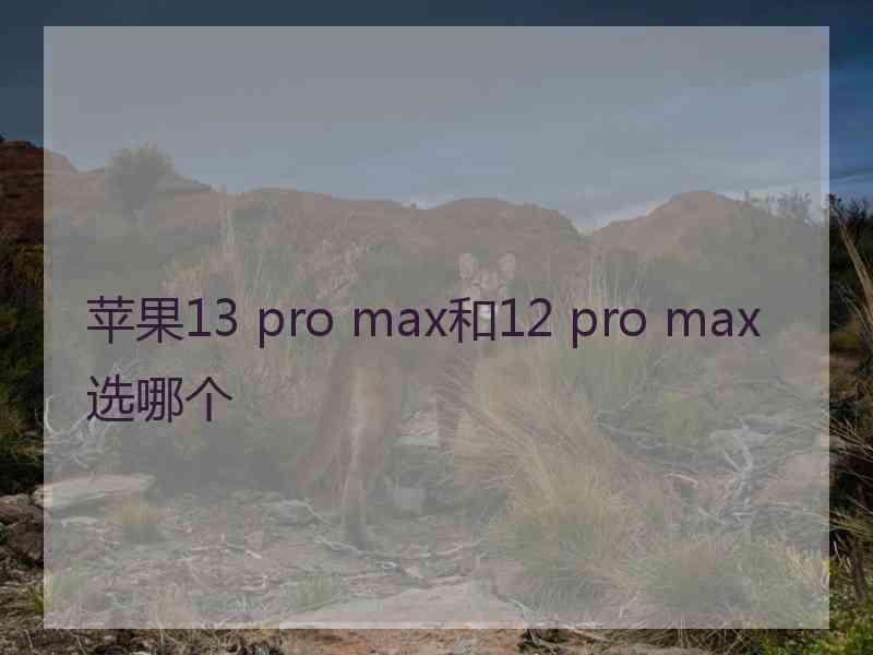 苹果13 pro max和12 pro max选哪个