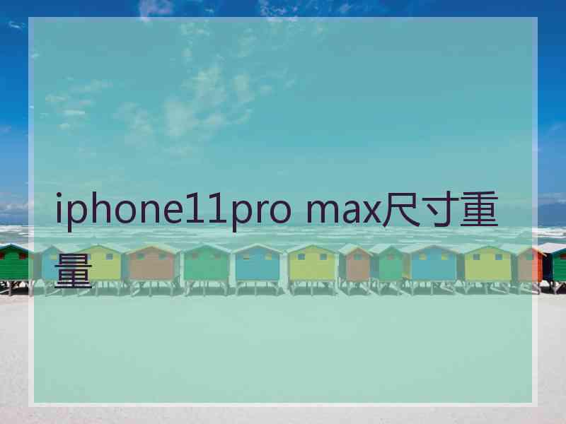 iphone11pro max尺寸重量