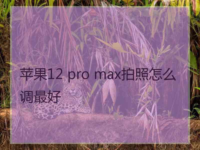 苹果12 pro max拍照怎么调最好