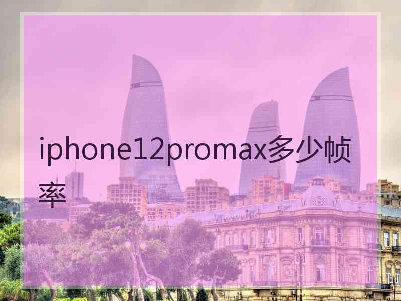 iphone12promax多少帧率