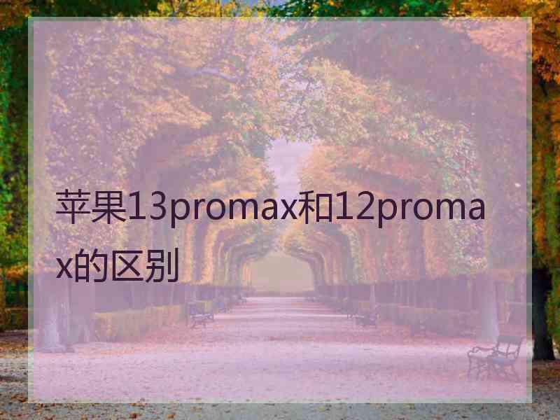 苹果13promax和12promax的区别