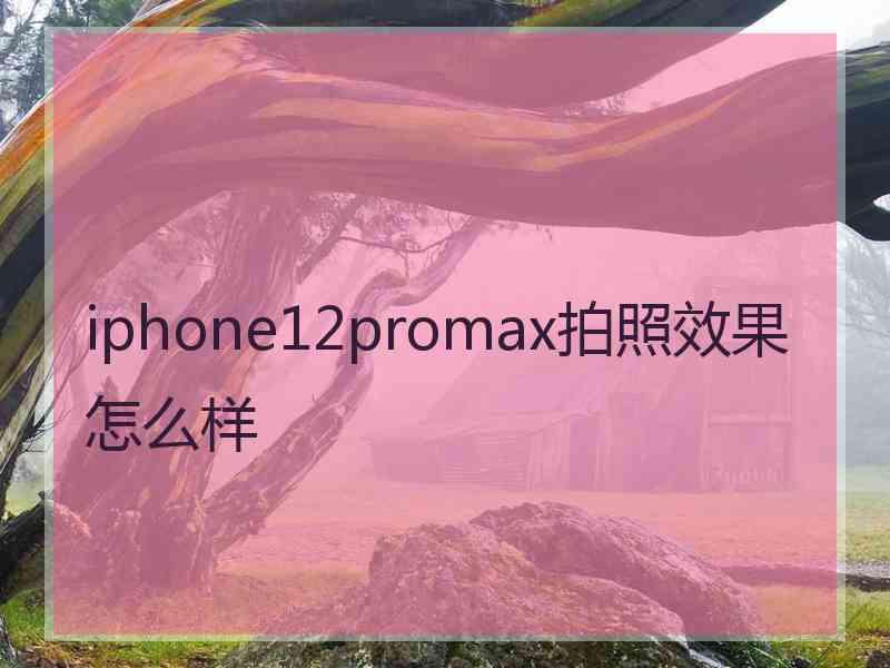 iphone12promax拍照效果怎么样