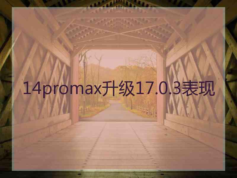 14promax升级17.0.3表现