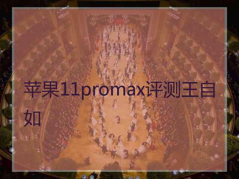 苹果11promax评测王自如