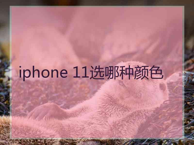 iphone 11选哪种颜色