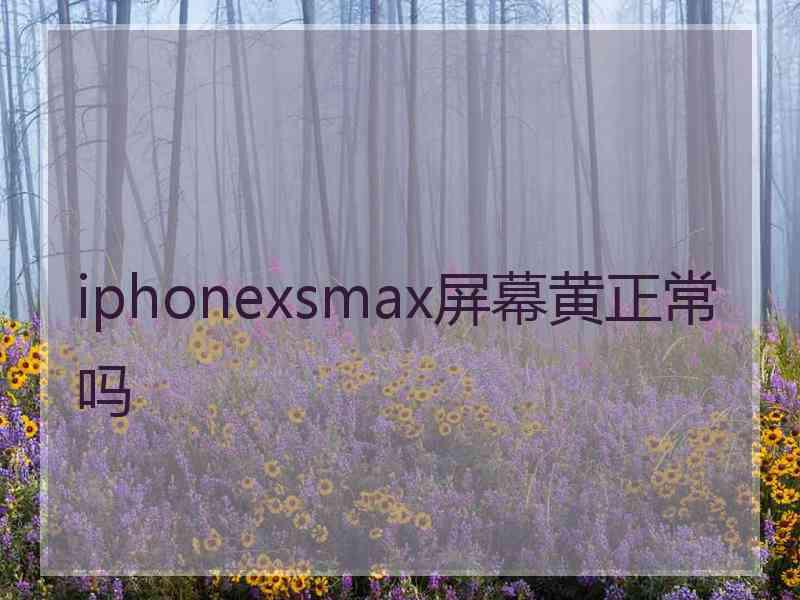 iphonexsmax屏幕黄正常吗