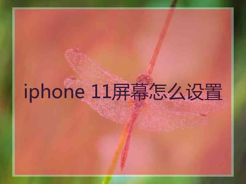 iphone 11屏幕怎么设置