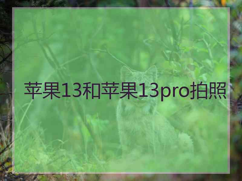 苹果13和苹果13pro拍照