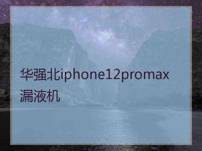 华强北iphone12promax漏液机