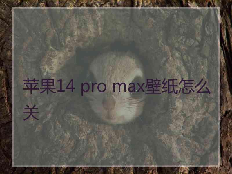 苹果14 pro max壁纸怎么关