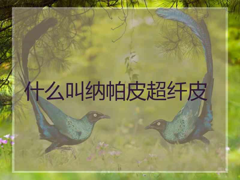 什么叫纳帕皮超纤皮