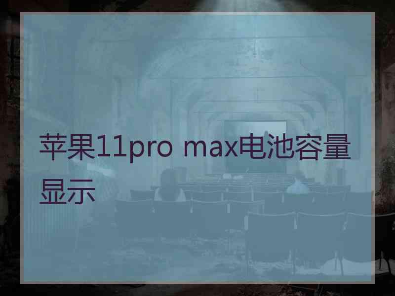 苹果11pro max电池容量显示