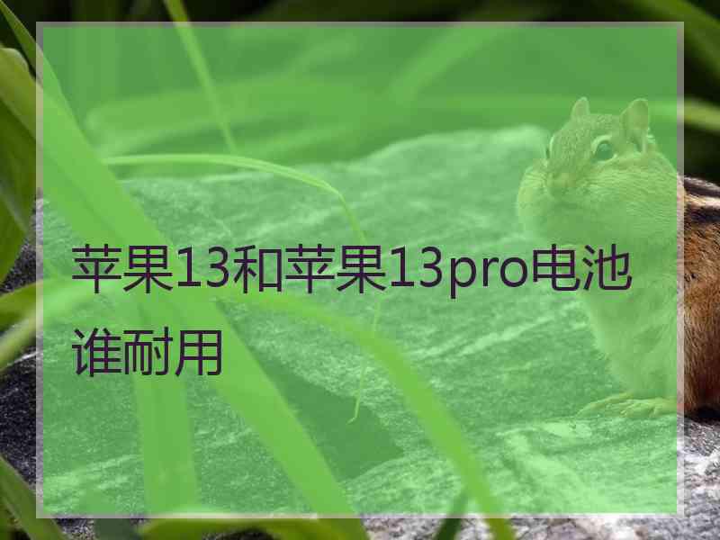 苹果13和苹果13pro电池谁耐用