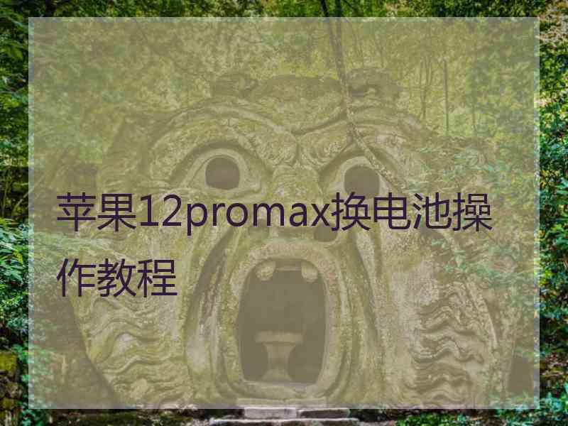 苹果12promax换电池操作教程