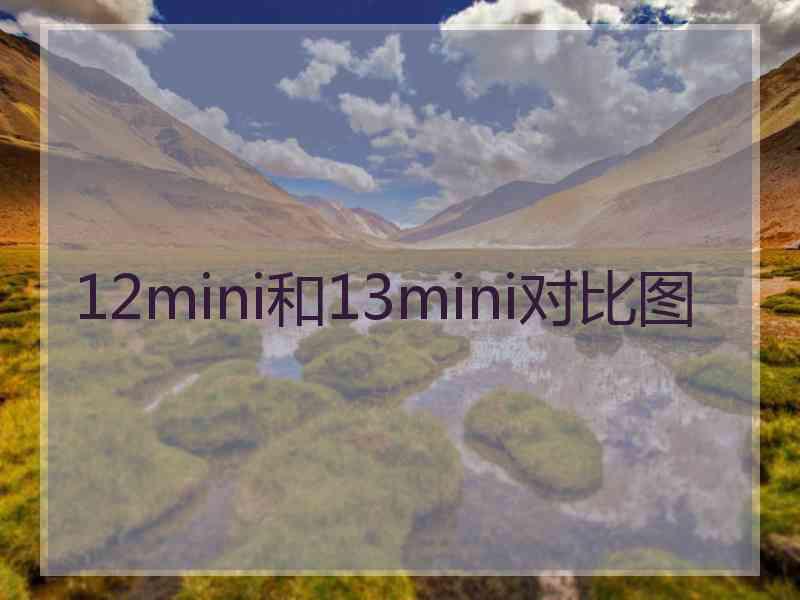 12mini和13mini对比图