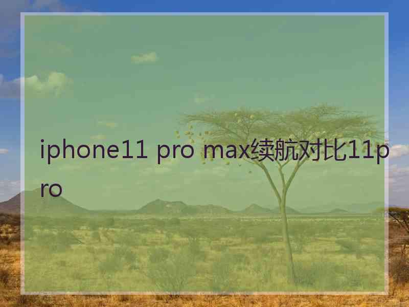 iphone11 pro max续航对比11pro