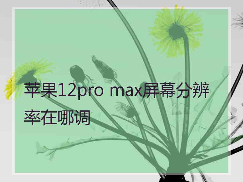 苹果12pro max屏幕分辨率在哪调