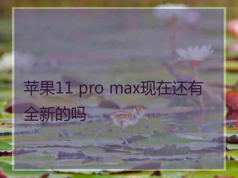 苹果11 pro max现在还有全新的吗