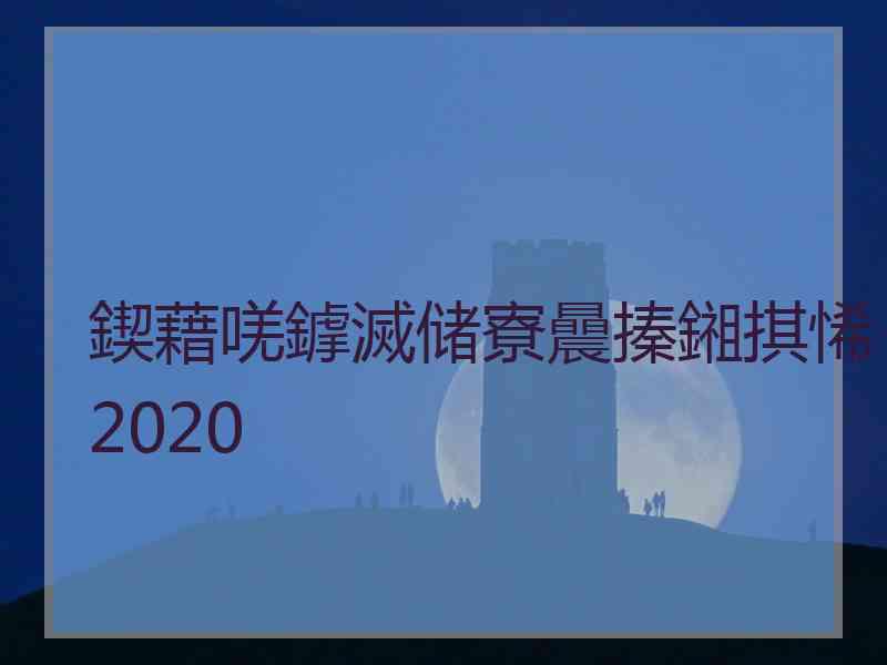 鍥藉唴鎼滅储寮曟搸鎺掑悕2020