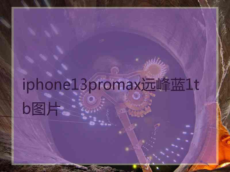 iphone13promax远峰蓝1tb图片