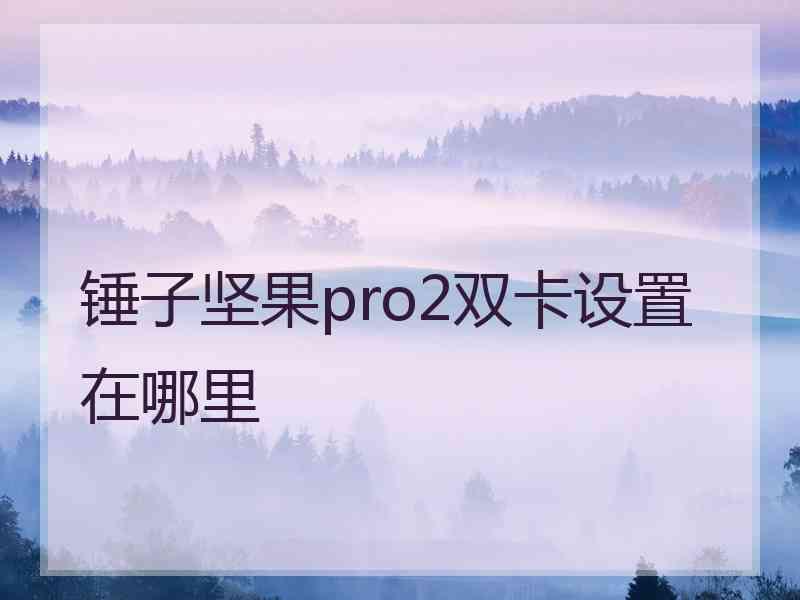 锤子坚果pro2双卡设置在哪里