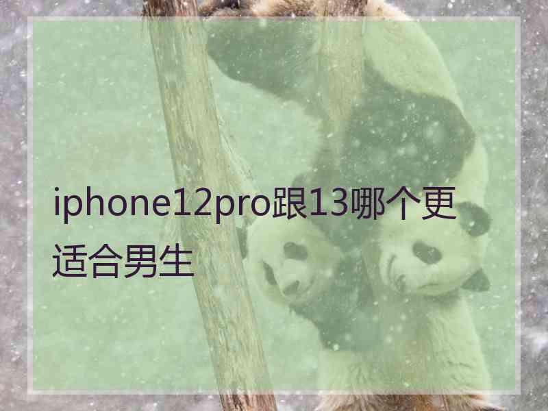 iphone12pro跟13哪个更适合男生