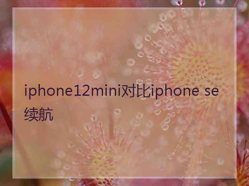 iphone12mini对比iphone se续航