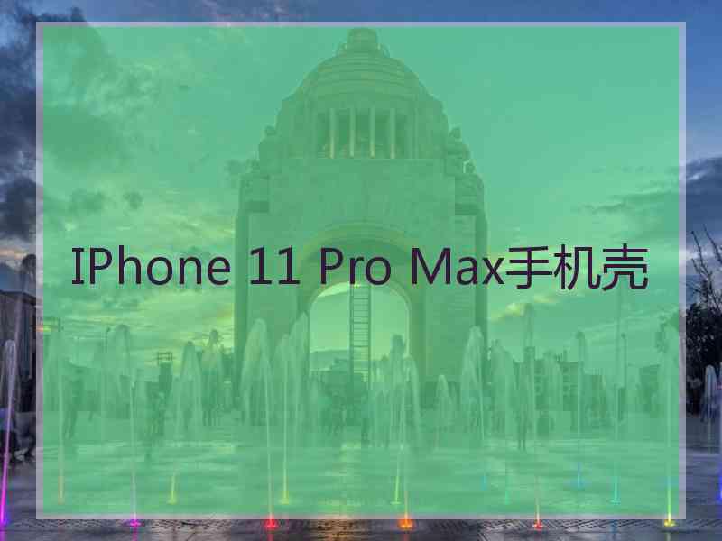 IPhone 11 Pro Max手机壳