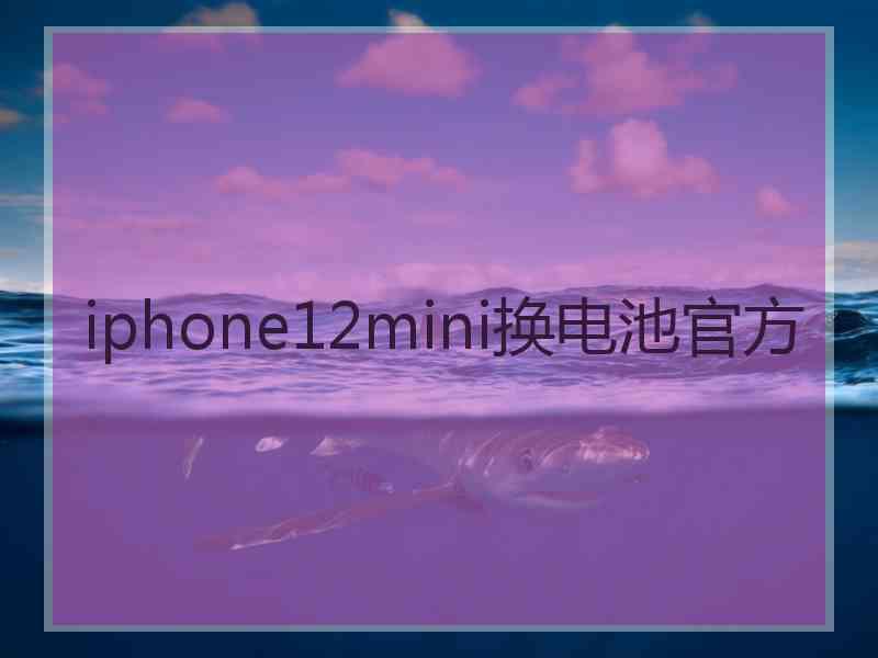 iphone12mini换电池官方