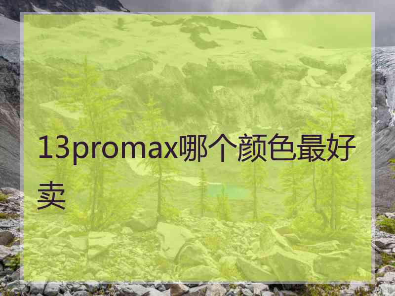 13promax哪个颜色最好卖